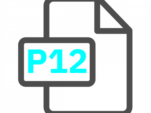 Formato P12